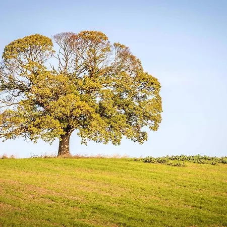 Maison Charmante En Campagne A Mouterre-silly, Jardin, Terrasse.