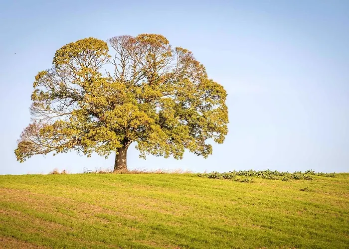 Maison Charmante En Campagne A Mouterre-silly, Jardin, Terrasse.